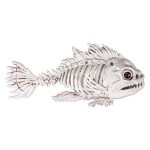 Fish_skeleton