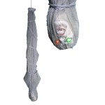 Hanging_mummy